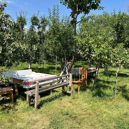 "Bilim" Guest House Tamchy Exterior foto